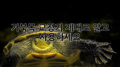 거북목 교정기, 제대로 알고 사용하세요!