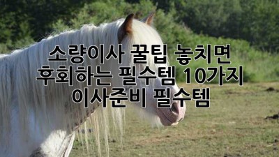 소량이사 꿀팁🍯: 놓치면 후회하는 필수템 10가지! #이사준비 #필수템